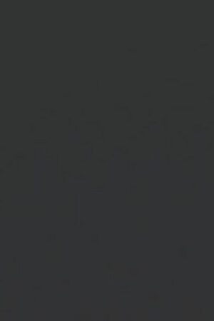 Antracitové dveře Hom`in o rozměrech 45/44/1,6 cm